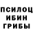 Галлюциногенные грибы MAGIC MUSHROOMS JD Rasty
