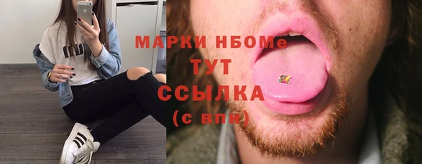 индика Дмитровск