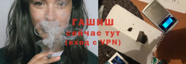 индика Дмитровск