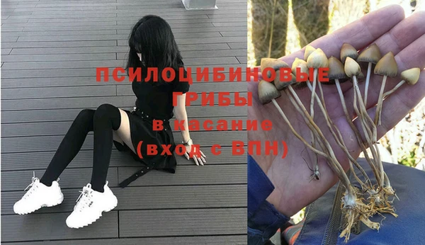 синтетический гашиш Дмитров
