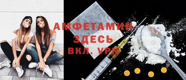 индика Дмитровск