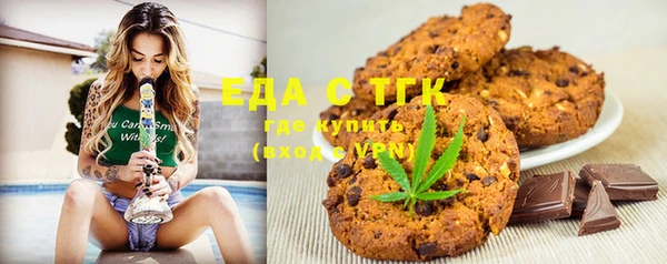 индика Дмитровск