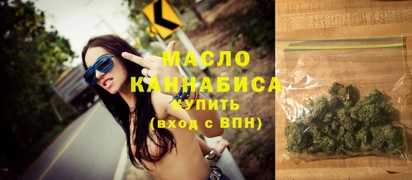 индика Дмитровск