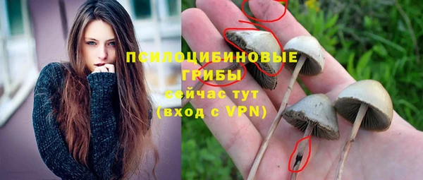 синтетический гашиш Дмитров