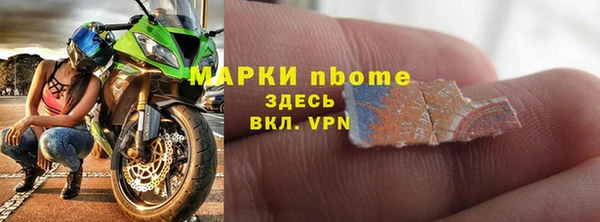 индика Дмитровск