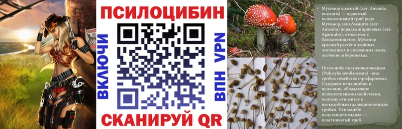 Купить где  Нерчинск  Псилоцибиновые грибы ЛСД 